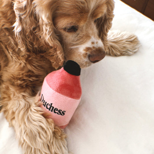 Duchess Cosmo Plush Dog Toy