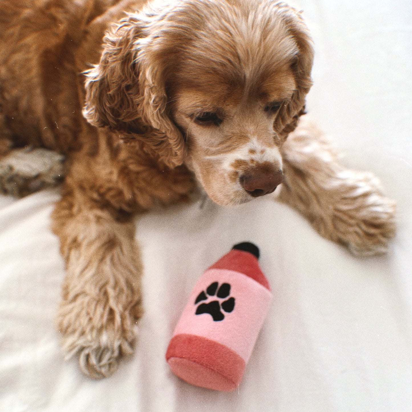 Duchess Cosmo Plush Dog Toy