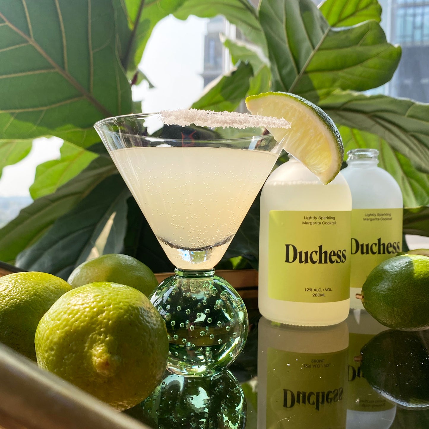 Duchess Margarita